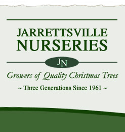 Jarrettsville Nurseries - Christmas Tree Growers since 1961